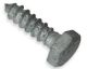 1/4"x2"hex lag bolt galv.